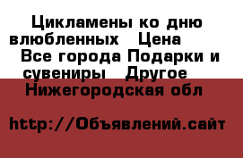 Цикламены ко дню влюбленных › Цена ­ 180 - Все города Подарки и сувениры » Другое   . Нижегородская обл.